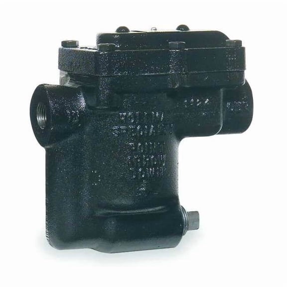 Steam Trap, 125 psi, 3/4 in, In-line B1125S-3
