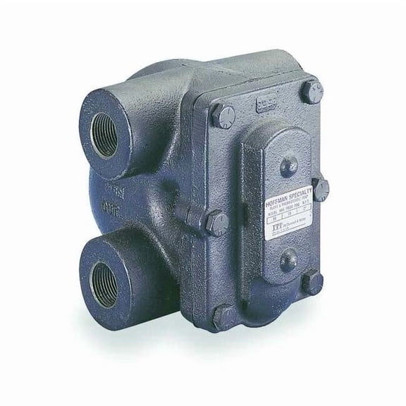 Bell & Gossett Steam Trap,Cast Iron,15 psi,2 in FT015H-8