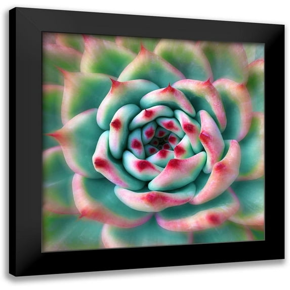 Bell, Jan 12x12 Black Modern Framed Museum Art Print Titled - Deep Red Tips