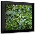 thumbnail image 1 of Bell, Jan 12x12 Black Modern Framed Museum Art Print Titled - Forest Floor Detail, 1 of 5