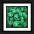 thumbnail image 1 of Bell, Jan 26x26 Black Ornate Wood Framed with Double Matting Museum Art Print Titled - Sea Green, 1 of 4