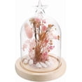 thumbnail image 1 of Bell Jar Dome 113x161mm Glass Cloche with Wood Base Glass Dome Bell Jar Clear Glass Jars Cloche Display Case Cloche Small Glass Domes for Wedding Home Plants Christmas Party Favor Decor Multi-color, 1 of 6