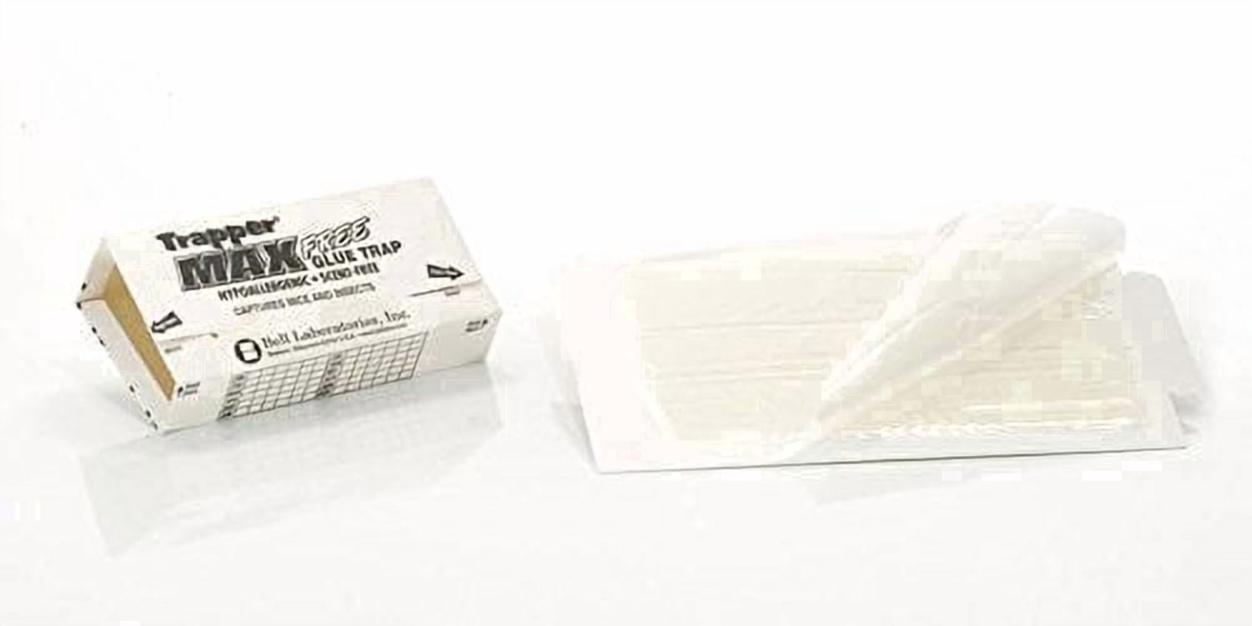 Bell Labs Full CASE of Trapper Max Free Mouse Glue Boards (72 Boards), White (TX2672)