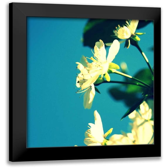 Bell, Lillian 12x12 Black Modern Framed Museum Art Print Titled - Summer Blossom I
