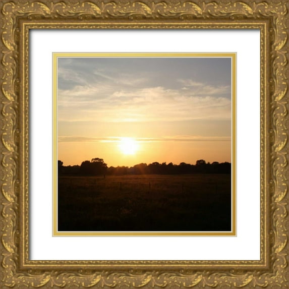 Bell, Lillian 26x26 Gold Ornate Wood Framed with Double Matting Museum Art Print Titled - Sunset Field I