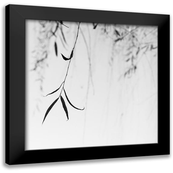 Bell, Nicholas 12x12 Black Modern Framed Museum Art Print Titled - Willow Print No. 1