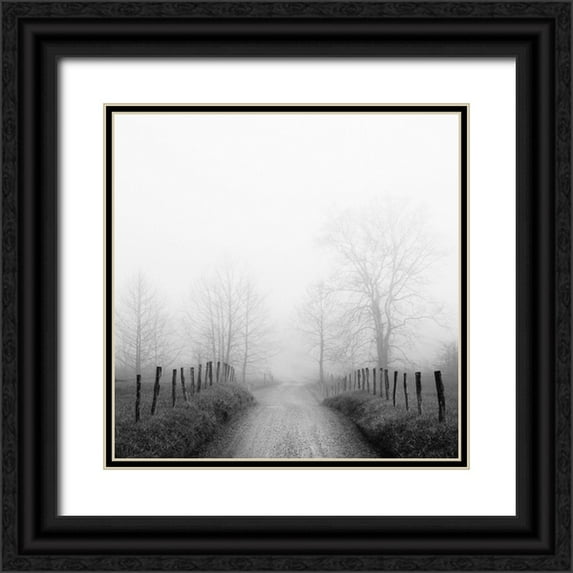 Bell, Nicholas 12x12 Black Ornate Wood Framed with Double Matting Museum Art Print Titled - Sparks Lane in Fog