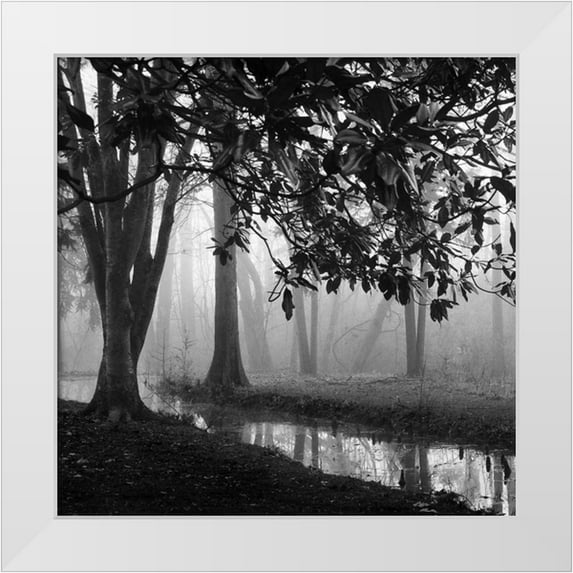 Bell, Nicholas 12x12 White Modern Wood Framed Museum Art Print Titled - Woodland No. 1