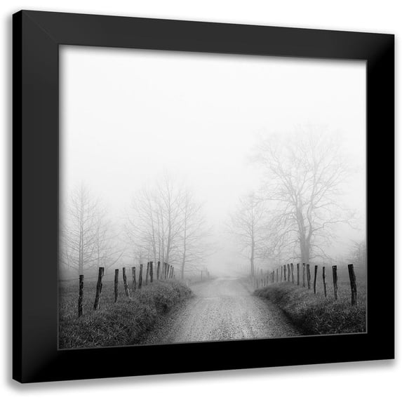 Bell, Nicholas 20x20 Black Modern Framed Museum Art Print Titled - Sparks Lane in Fog