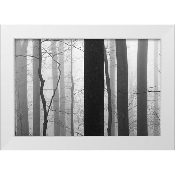 Bell, Nicholas 32x23 White Modern Wood Framed Museum Art Print Titled - Forest Code