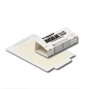 Bell Trapper Max Mouse Glue Board- Scented with Attractant