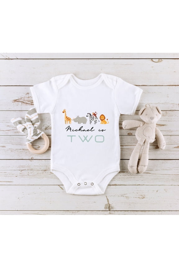 Bella Canvas with Baby Birthday Birthday Keepsake, Children'S Birthday Gift, 2Nd Birthday, Zoo Themed Second Birthday Party Cool Baby Clothing, Cute Baby Boy or Girl Bodysuit Gift