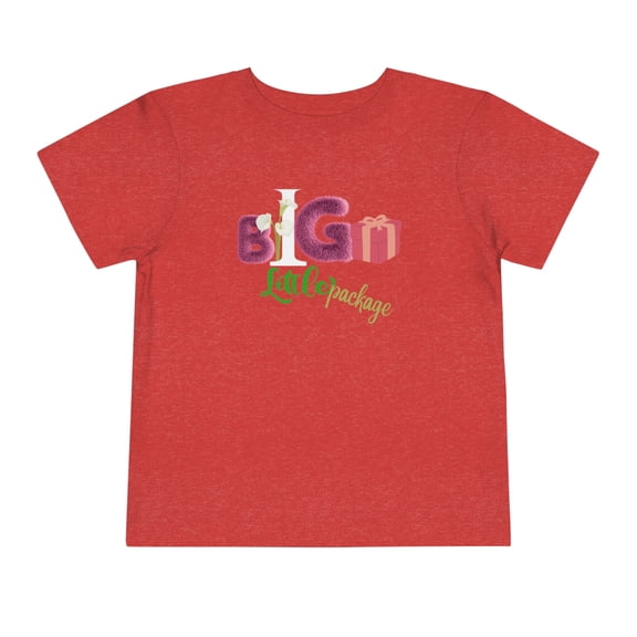Bella Canvas Toddler Big Gift, Little Package Short Sleeve Tee