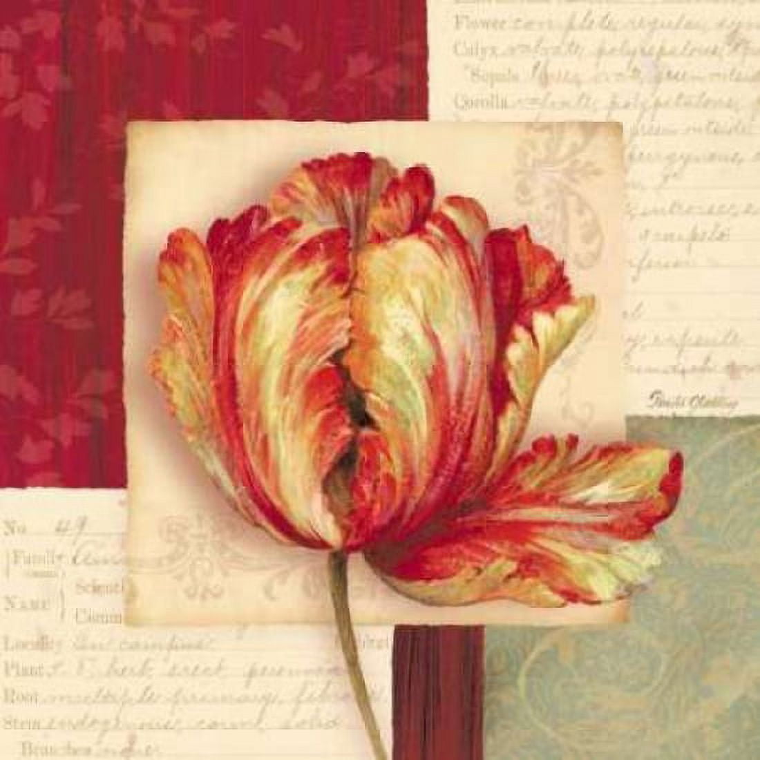 Bella Donna I Canvas Art - Pamela Gladding (24 x 24)