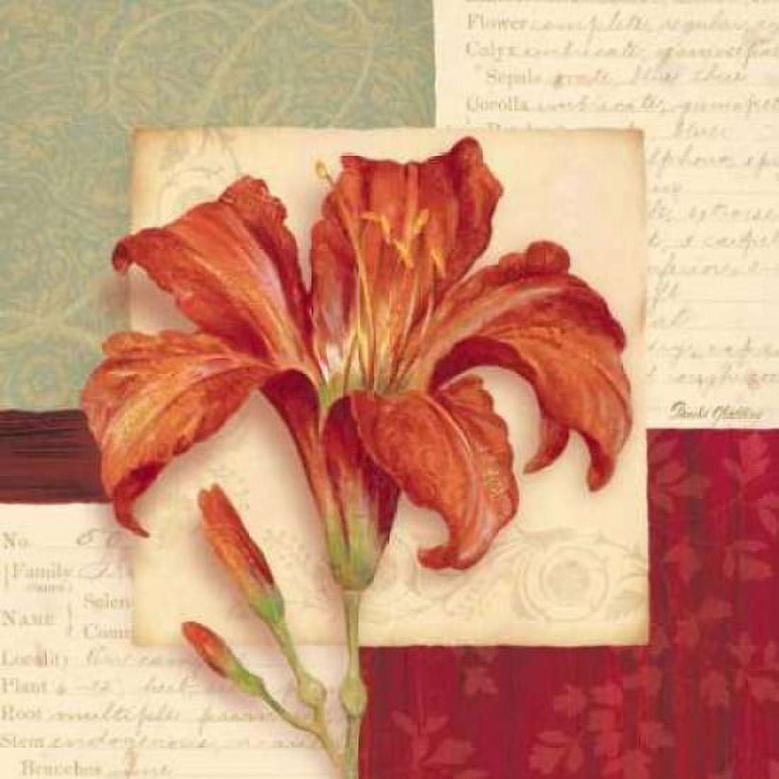 Bella Donna II Canvas Art - Pamela Gladding (24 x 24)