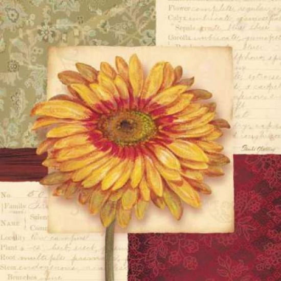 Bella Donna III Canvas Art - Pamela Gladding (24 x 24)