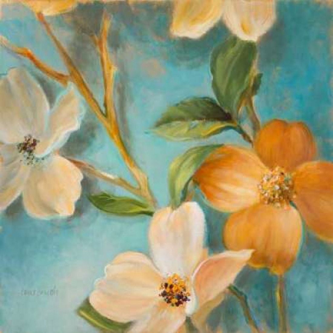 Bella Fiori I Canvas Art - Lanie Loreth (24 x 24)