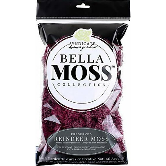 Bella Moss Preserved Reindeer Moss, Sangria, 80 cu in.