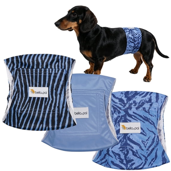 Bella & Pal Blue Zebra Male Dog Diapers, 3-Pack, Highly Absorbent Washable Diapers for Small Dogs, Leak-Proof Puppy Diapers, XS