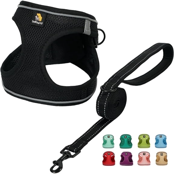 BELLA & PAL Puppy Harness and Leash Set,Reflective Adjustable Dog Harness for Small Dogs No Pull,Step in Soft Mesh Harness for Small and Medium Dogs,Black Harness,S