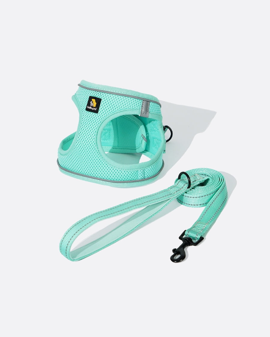 Bella & Pal OxyMesh Velcro Step-in Harness and Leash Set - Mint Green ...