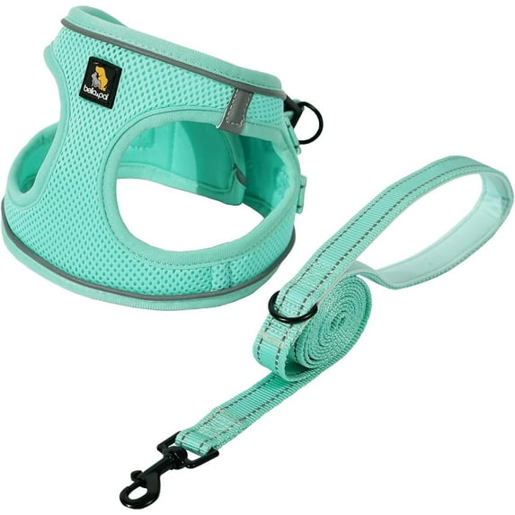 BELLA & PAL Puppy Harness and Leash Set,Reflective Adjustable Dog Harness for Small Dogs No Pull,Step in Soft Mesh Harness for Small and Medium Dogs,Light Green,M