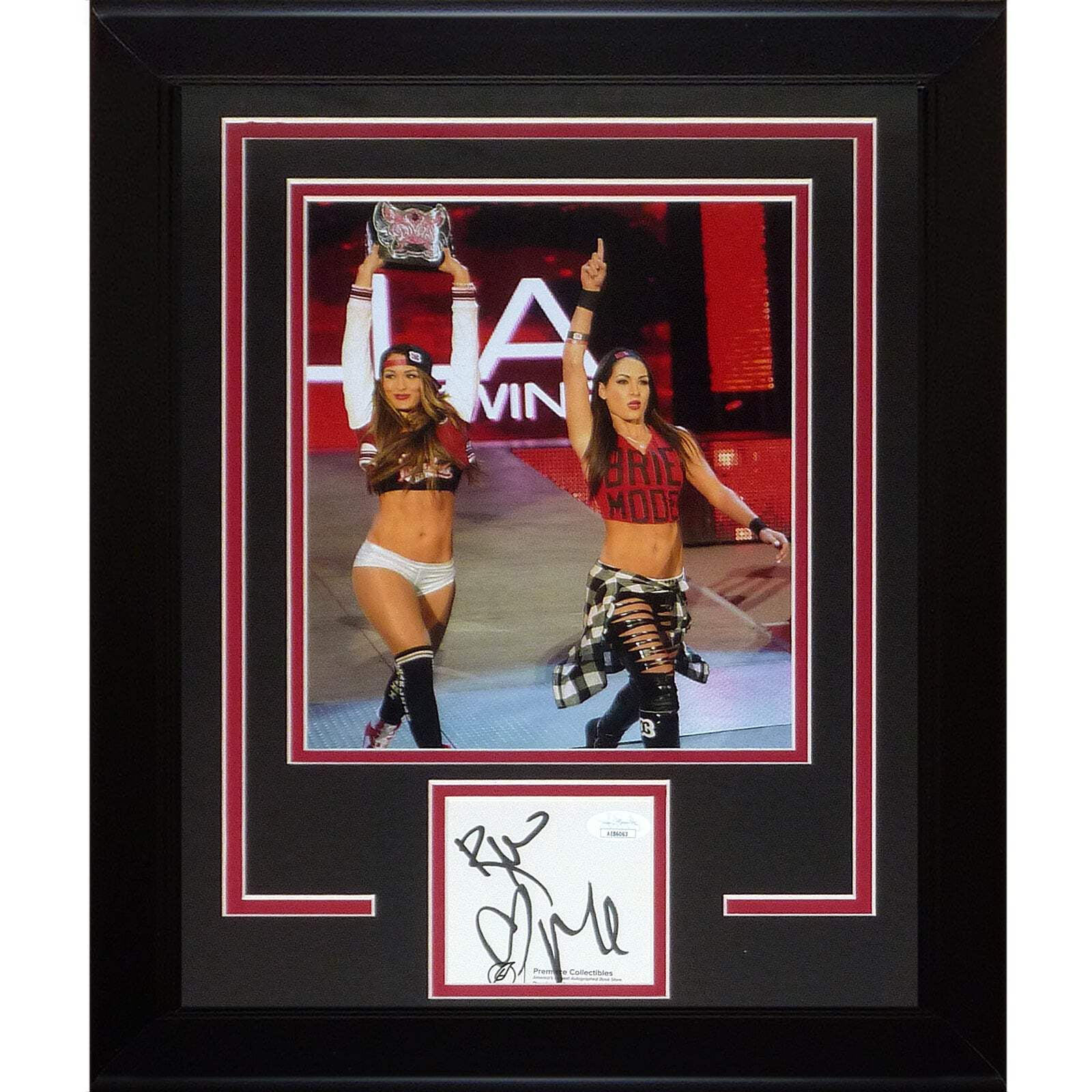 Bella Twins Brie Bella And Nikki Bella Autographed WWE Wrestling ...