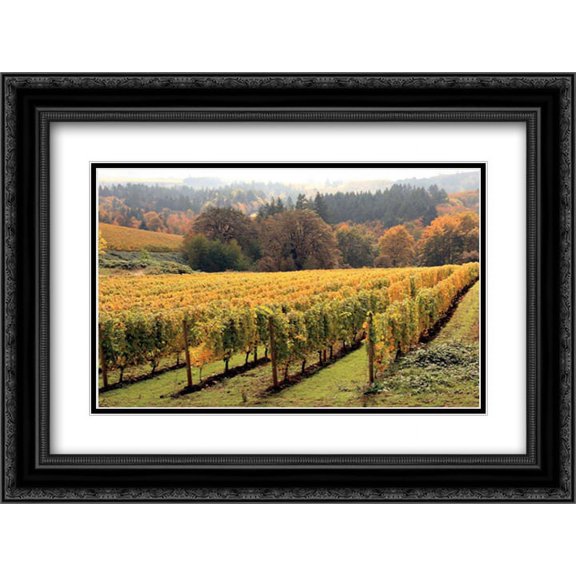 Bella Vida II 2x Matted 24x18 Black Ornate Framed Art Print by Love, Maureen
