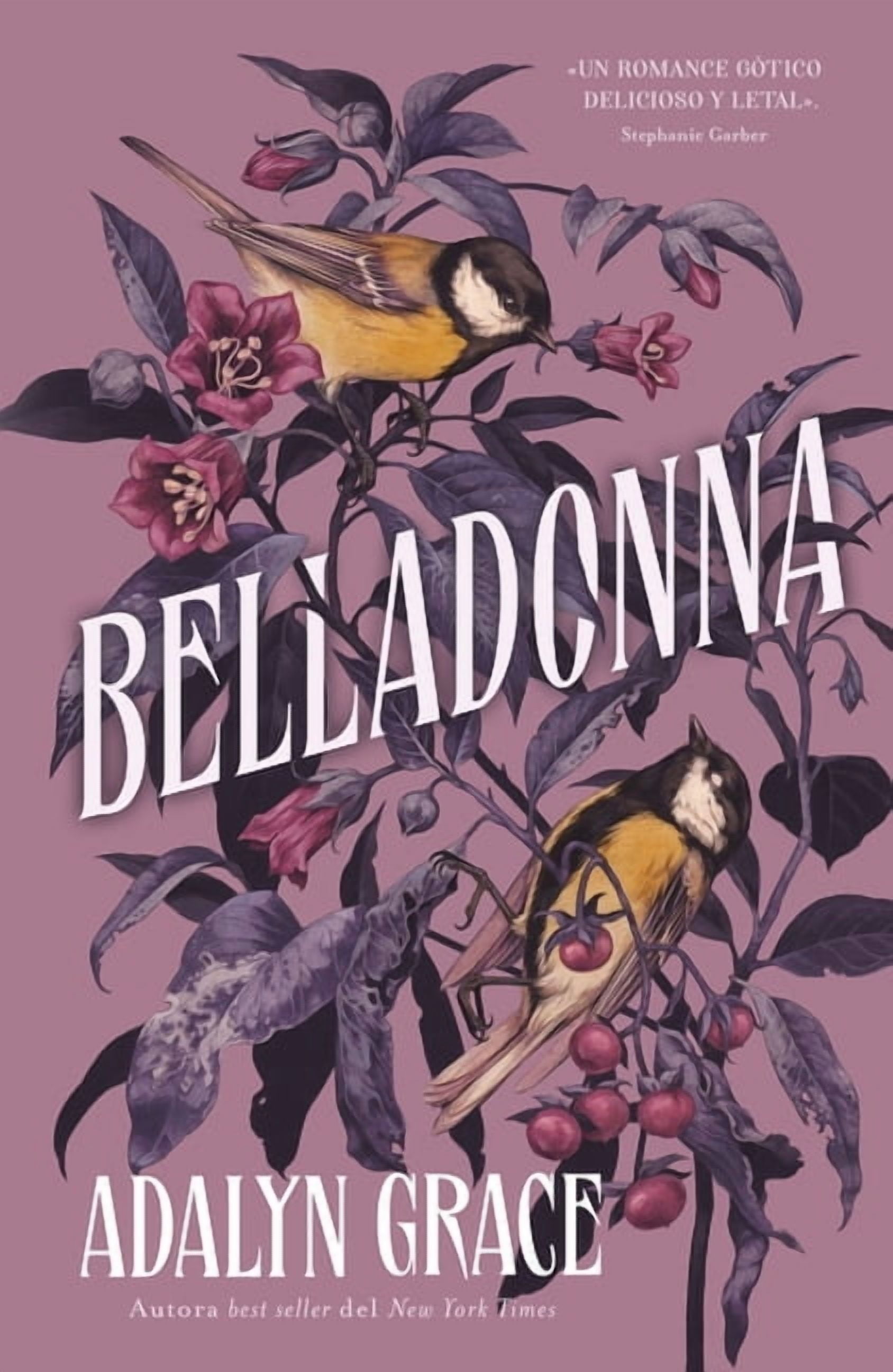 Belladonna -V1, (Paperback)