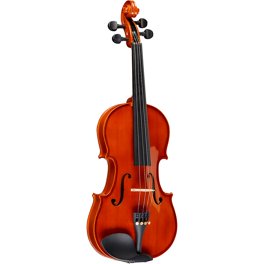 ★Craved Master Violin 4/4 Amazon.com: D'Luca, 4 Strauss Professional Violin Outfit 4/4
