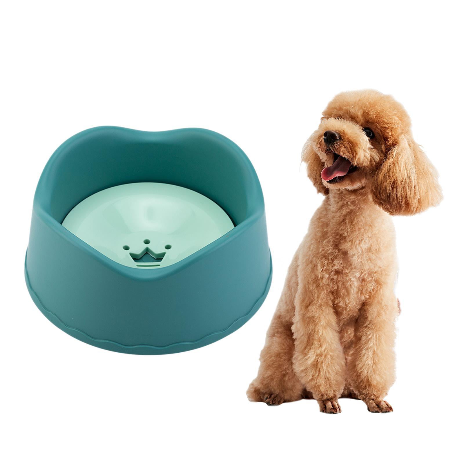 No-Spill Dog Water Bowl Pet Dog Water Bowl No Spill Splash-free Cat Sl –  BingoPaw