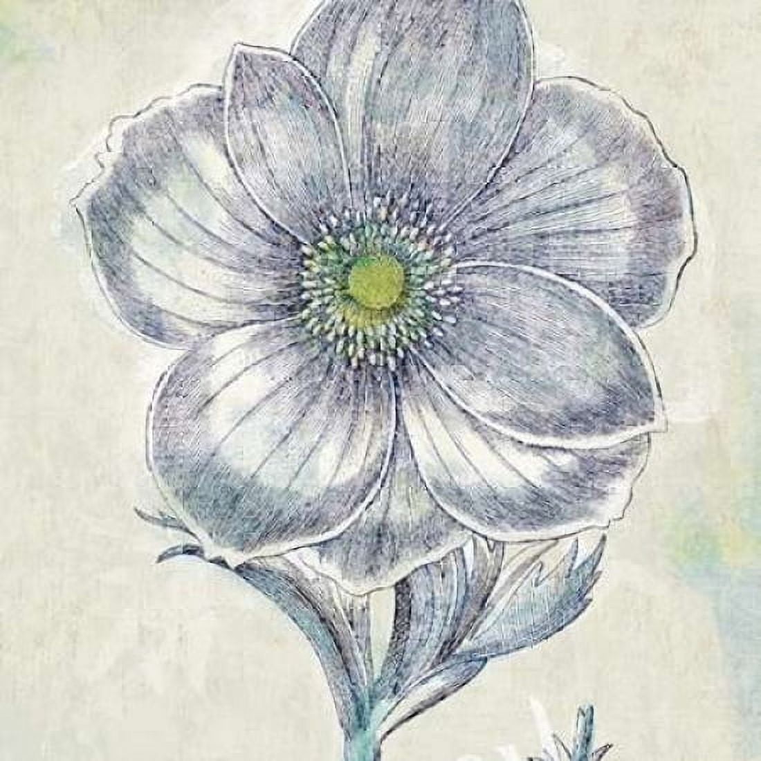 Belle Fleur II Canvas Art - Sue Schlabach (24 x 24)
