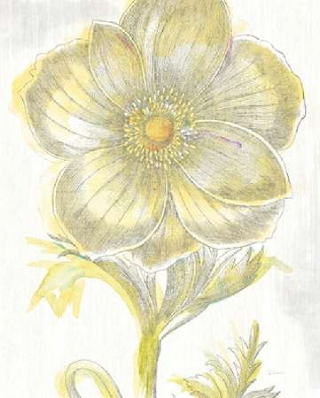 Belle Fleur Yellow II Crop Canvas Art - Sue Schlabach (24 x 30)