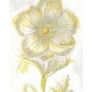 Belle Fleur Yellow II Crop Poster Print by Sue Schlabach 8 x 10