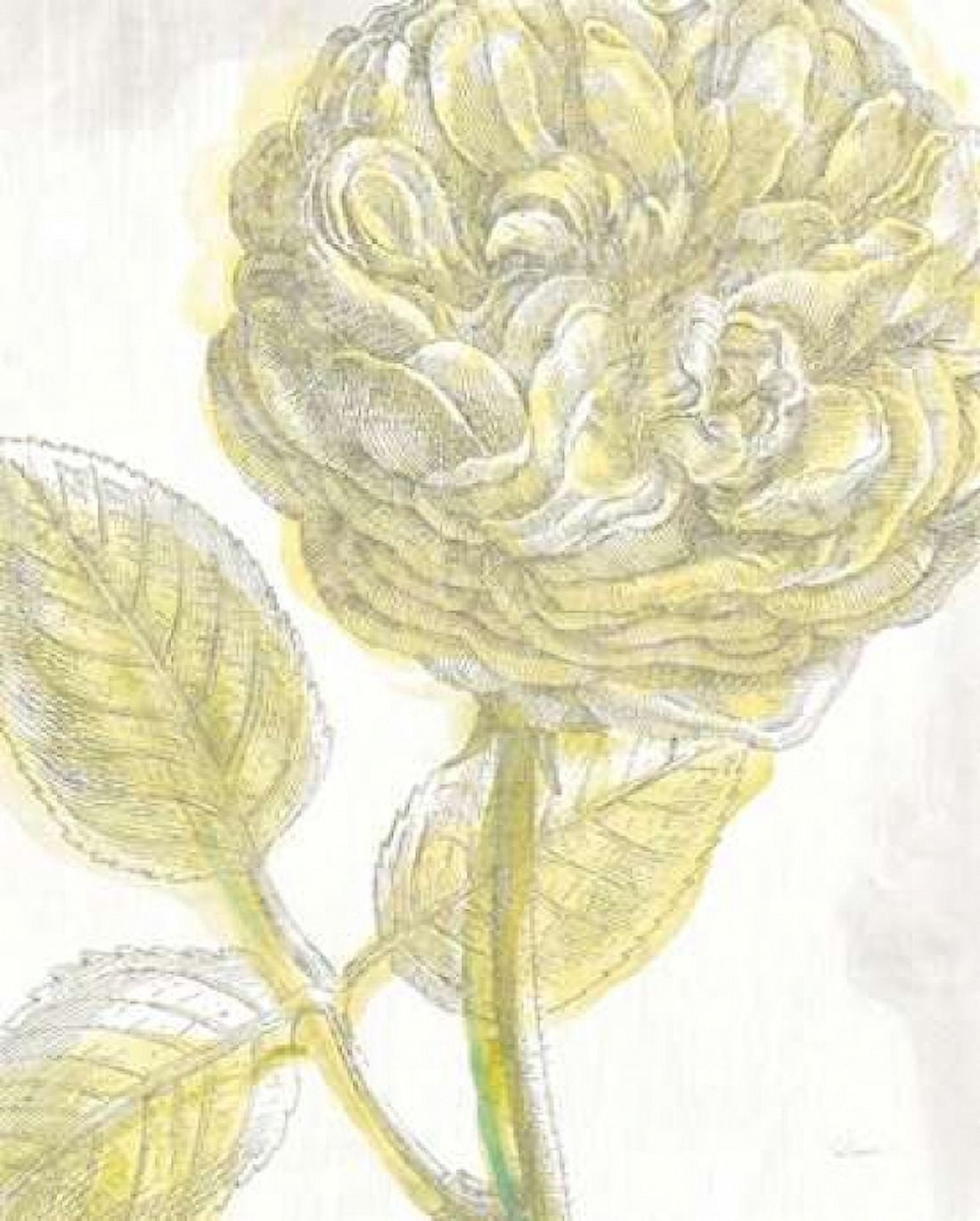 Belle Fleur Yellow III Crop Canvas Art - Sue Schlabach (24 x 30)