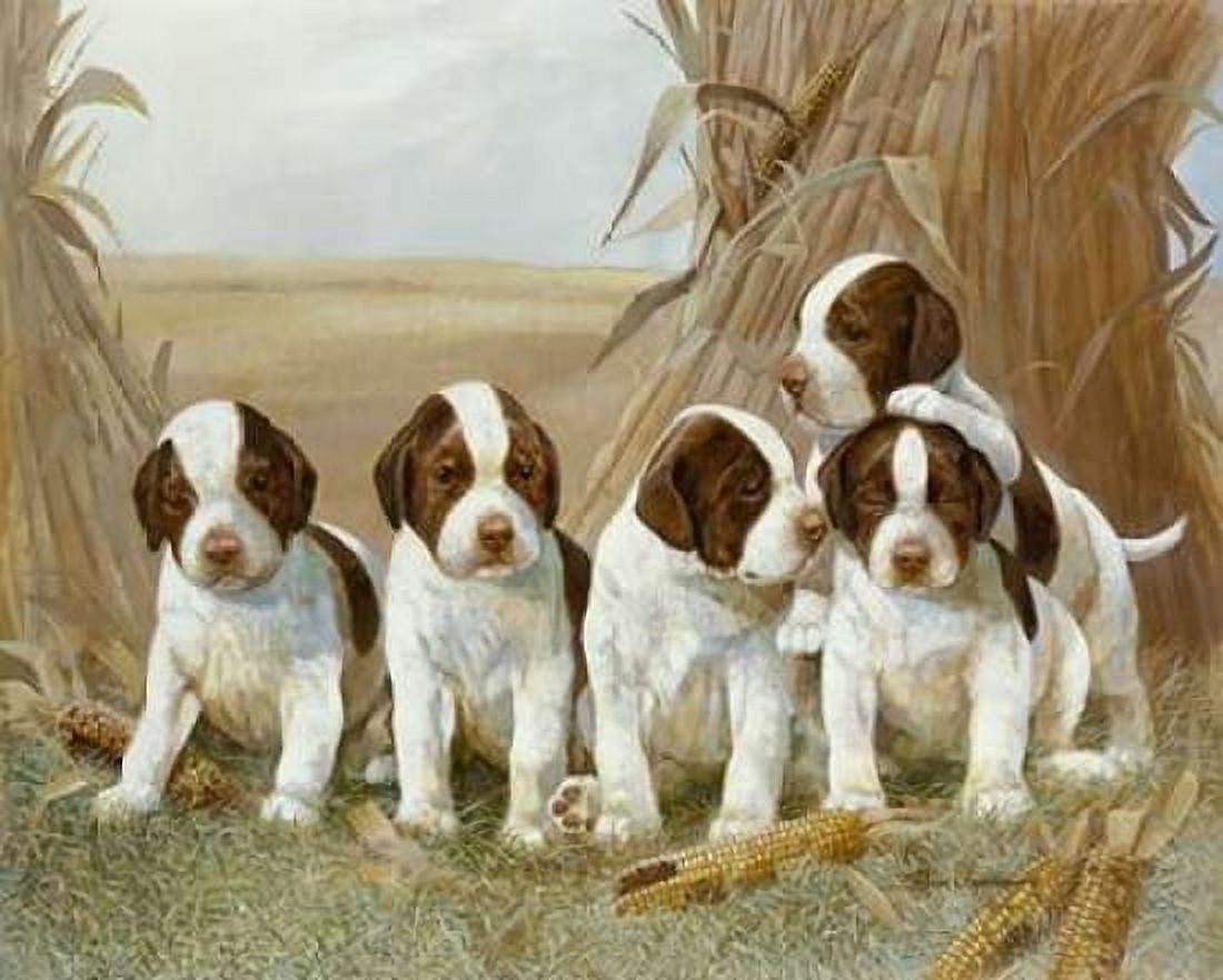 Belles Pups Canvas Art - Ruane Manning (20 x 24)