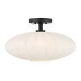 thumbnail image 1 of Meridian M60075MBK 1-Light Ceiling Light in Matte Black, 1 of 7