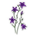 thumbnail image 1 of Bellflowers Wildflowers - 12" Vinyl Sticker Waterproof Decal, 1 of 1