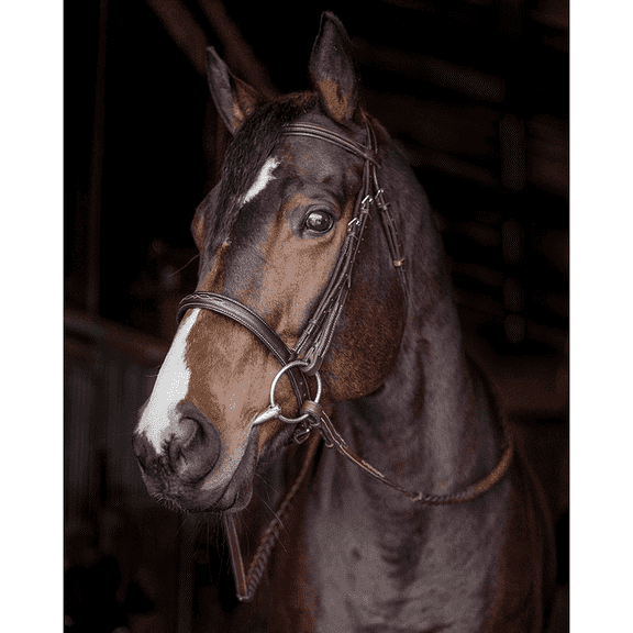 Bello-Equine Fancy Stitch Havana Brown Bridle with Removeable Flash - Size Full