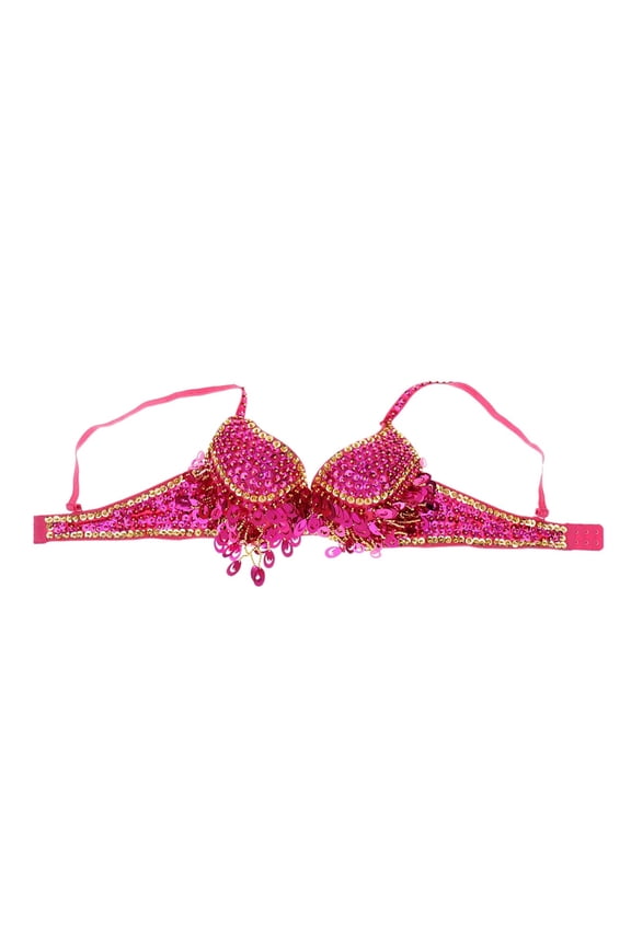 Belly Dance Bra Top Dancing Costume Tassels Dance Shiny Bra Belly Dance Wear