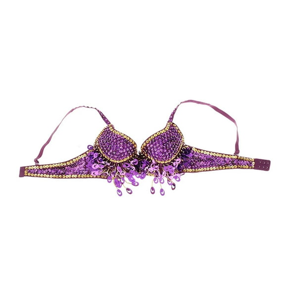 Belly Dance Bra Top Dancing Costume Tassels Dance Shiny Bra Belly Dance Wear