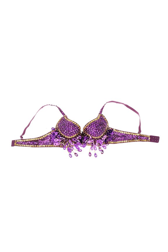 Belly Dance Bra Top Dancing Costume Tassels Dance Shiny Bra Belly Dance Wear