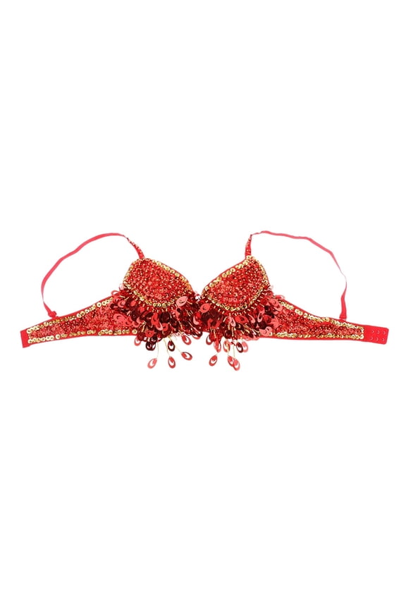 Belly Dance Bra Top Dancing Costume Tassels Dance Shiny Bra Belly Dance Wear