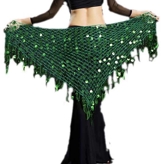 Belly Dance Dancing Class Wear Tassel Hip Skirts Scarf Wrap Belts Accessories