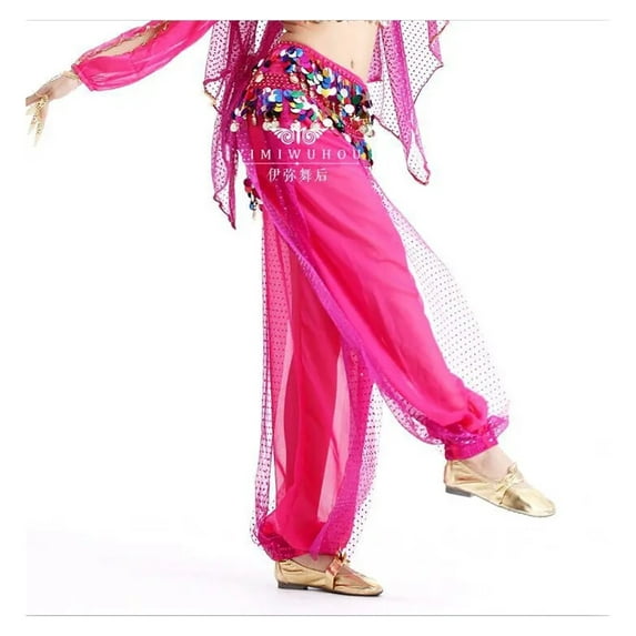 Belly Dance Pants Women Harem Pants Chiffon Sequins Loose Hockey Pants for Female