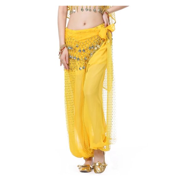 Belly Dance Pants Women Harem Pants Chiffon Sequins Loose Hockey Pants for Female