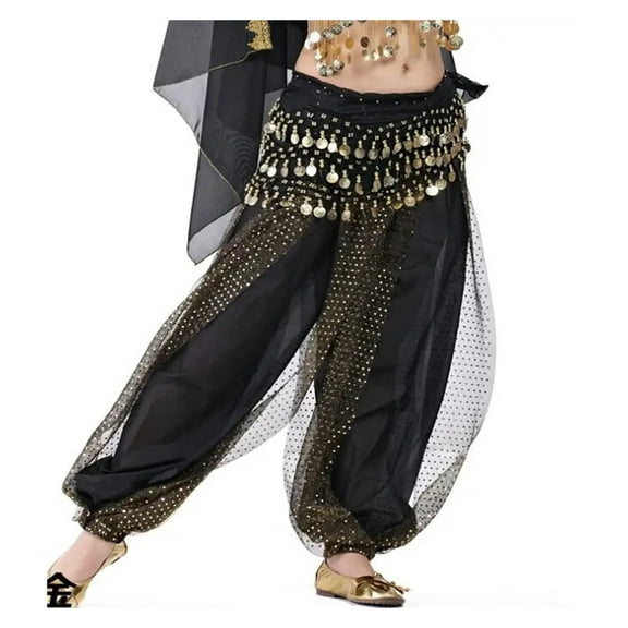 Belly Dance Pants Women Harem Pants Chiffon Sequins Loose Hockey Pants for Female
