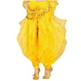 thumbnail image 1 of Belly Dance Skirt Pants Women Performance Costumes Gold Coin sequins Rotating Harem Pants Lady Indian Dance Practice Clothing, 1 of 7