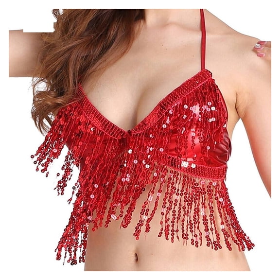 Belly Dance Top Nightclub Performance Bra Dance Wear Show Costumes Halter Top