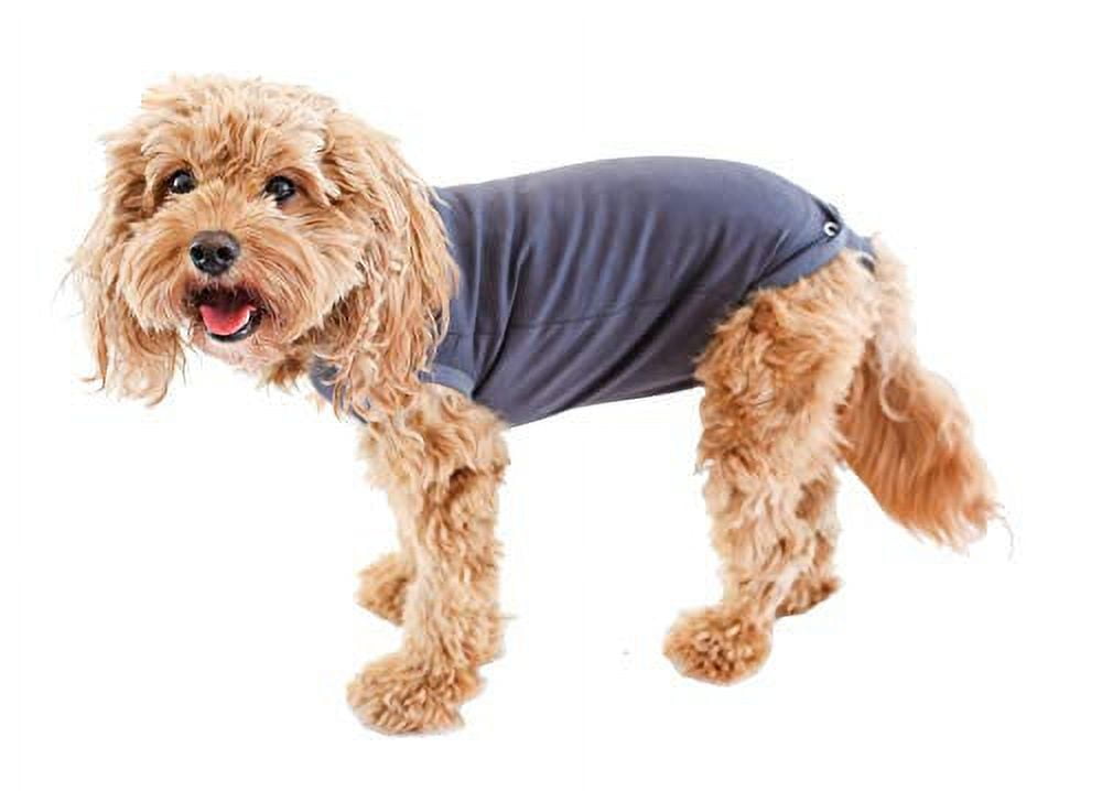 BellyGuard After Surgery Dog Recovery Onesie, Post Spay, Neuter, Body